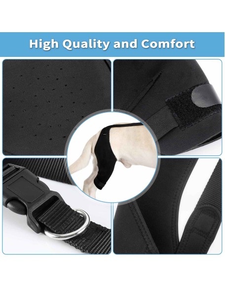 Dog Knee Brace, Dog Leg Brace for Sprain ACL, CCL, Arthritis