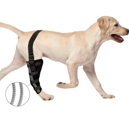 Best Dog Knee Brace for Torn ACL