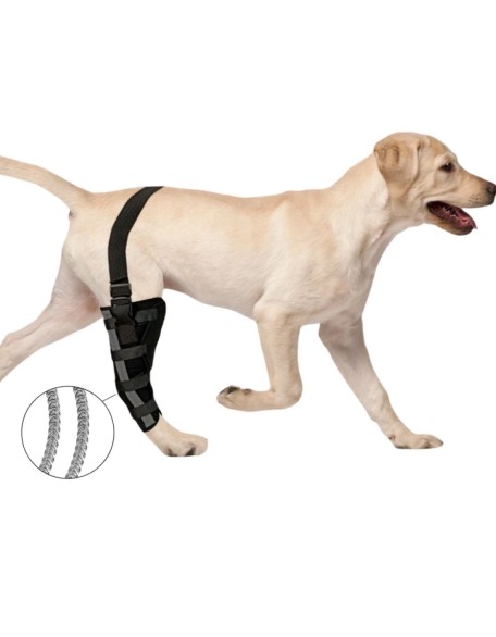 Best Dog Knee Brace for Torn ACL