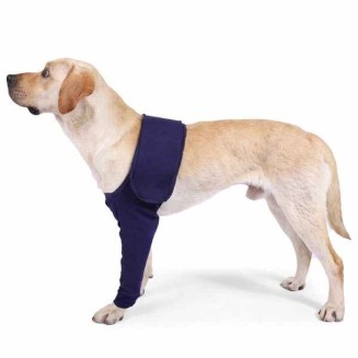 Front Leg Brace For Dogs