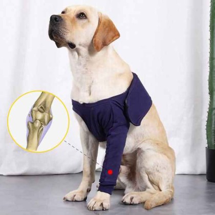 Front Leg Brace For Dogs