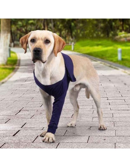 Front Leg Brace For Dogs