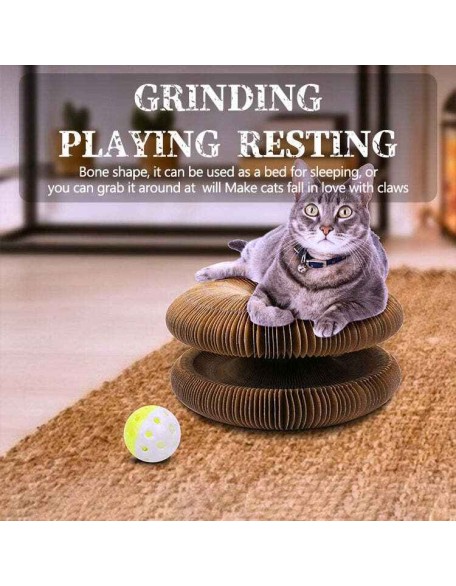 Cat Scratching Foldable Board