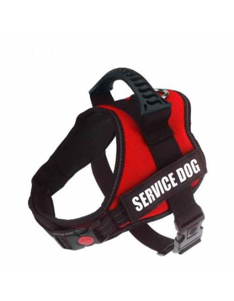 Personalized No Pull Dog Harness