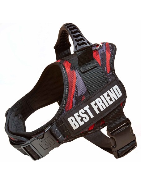 Personalized No Pull Dog Harness