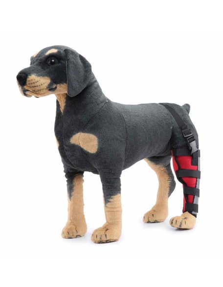 Hinged Dog Leg Brace