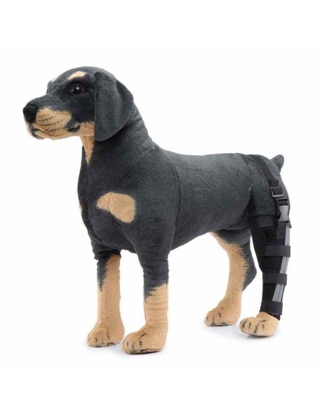 Hinged Dog Leg Brace