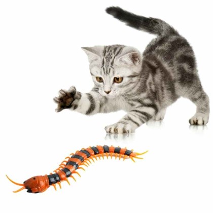 Electric Centipede Cat Teaser Toy With Remote