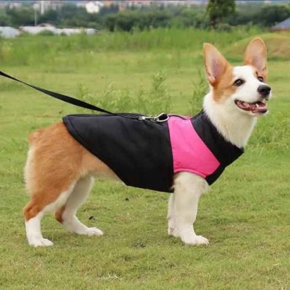 Waterproof Dog Coat for Winter