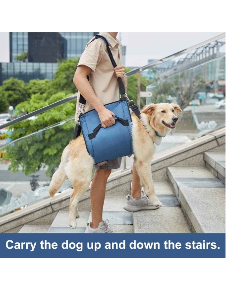 Dog Support Sling for Waist