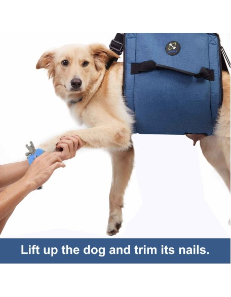 Dog Support Sling for Waist