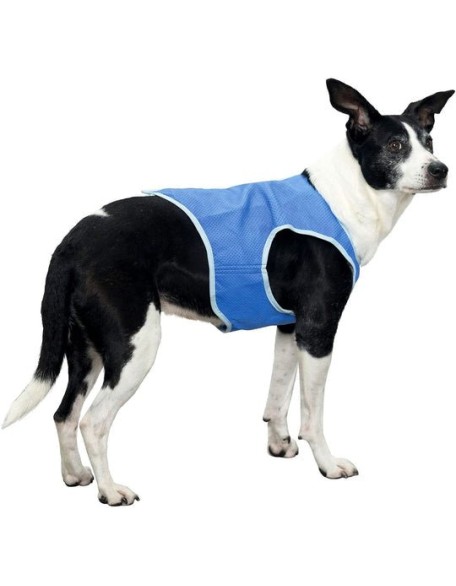 Summer Dog Cooling Vest