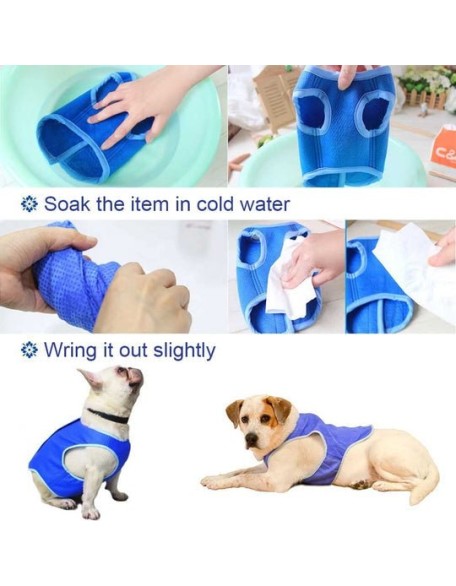 Summer Dog Cooling Vest