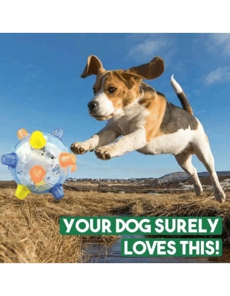 Jumping Activation Ball For Dogs