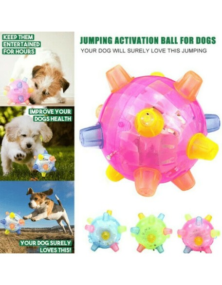 Jumping Activation Ball For Dogs