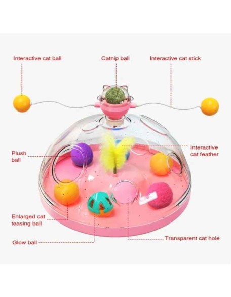 Windmill Interactive Turntable Cat Toy
