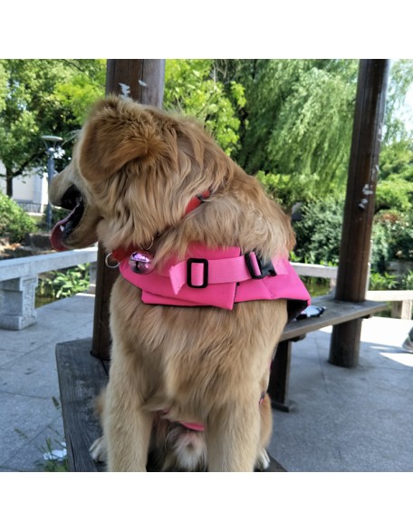 Dog Life Jackets