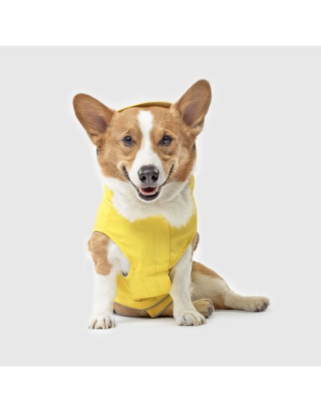 Dog Raincoat Pet Water Proof Clothes Lightweight Rain Jacket Poncho Hoodies with Strip Reflective