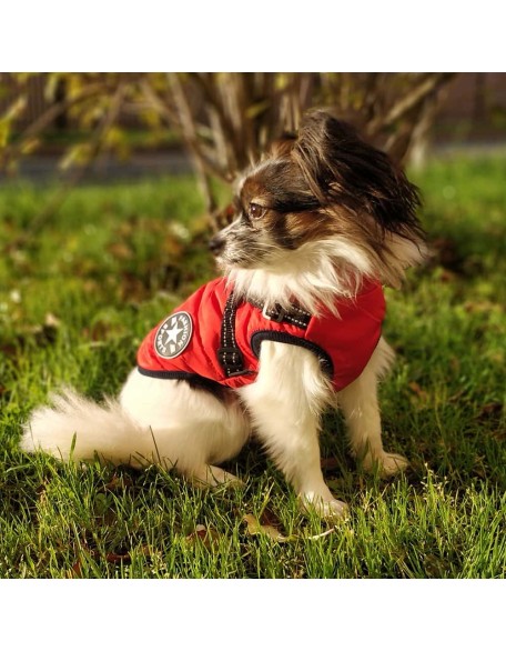 Dog Winter Jacket Coat With Harness, Waterproof Dog Winter Coat